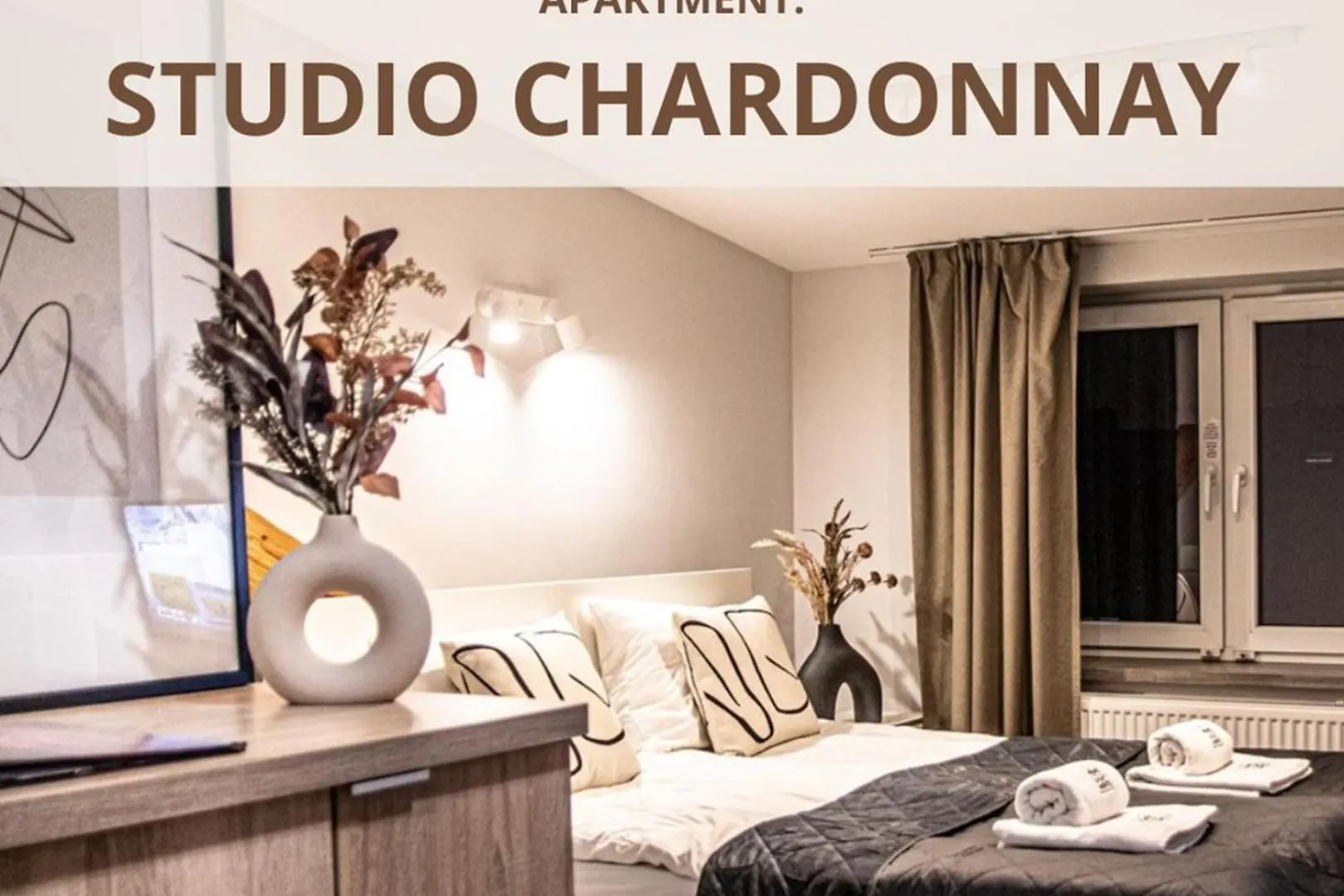 Wine Apartments Cracovia Polonia
